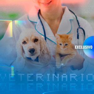 Auxiliar de Veterinário